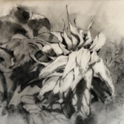 A Final Goodbye, charcoal and acetone on Mylar