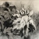 A Final Goodbye, charcoal and acetone on Mylar