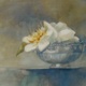 Silver Bowl, watercolor on plate bristol