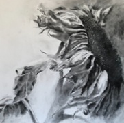 Arabesque, charcoal and acetone on paper