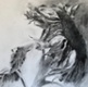 Arabesque, charcoal and acetone on paper
