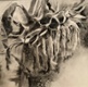 Withering Petals, charcoal and acetone on paper