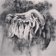 Withering Petals II, charcoal and acetone on paper