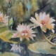 Lotus Reflections, watercolor on handmade rough paper